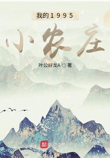 我的1995小农庄小说