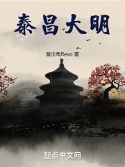 大明泰昌帝小说