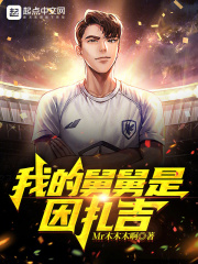 我的舅舅是因扎吉笔趣阁