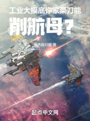 工业大摸底你家菜刀能削航母txt