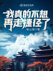 我真的不想走歌曲