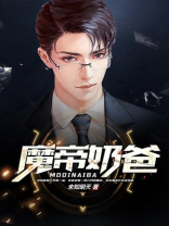 魔帝奶爸林尘小说阅读