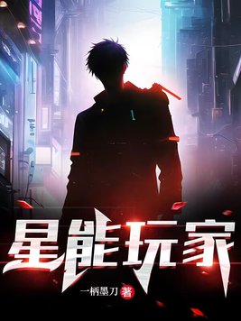 星能玩家小说
