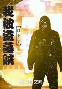 我被认为是盗墓贼
