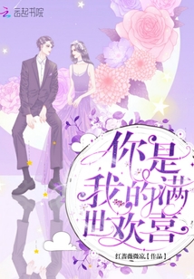 你是我的满世欢喜 小说