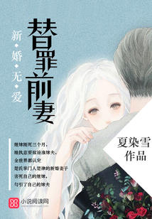 新婚无爱,替罪前妻在哪里看书评