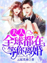 夫人全球都在等你离婚小说