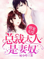总裁大人宠妻无度 王天霞