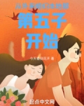 从外来媳妇本地郎第五子开始