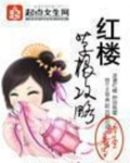 红楼草根攻略