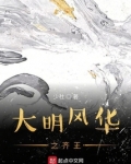 大明风华之齐王