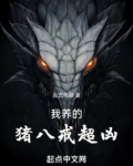 我养的猪八戒超凶