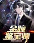 金瞳鉴宝师
