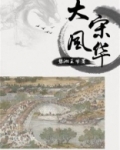 大宋风华