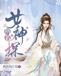 刑名女神探