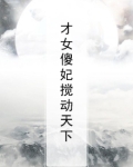 才女傻妃搅动天下