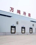 四合院之开局娶个售货员